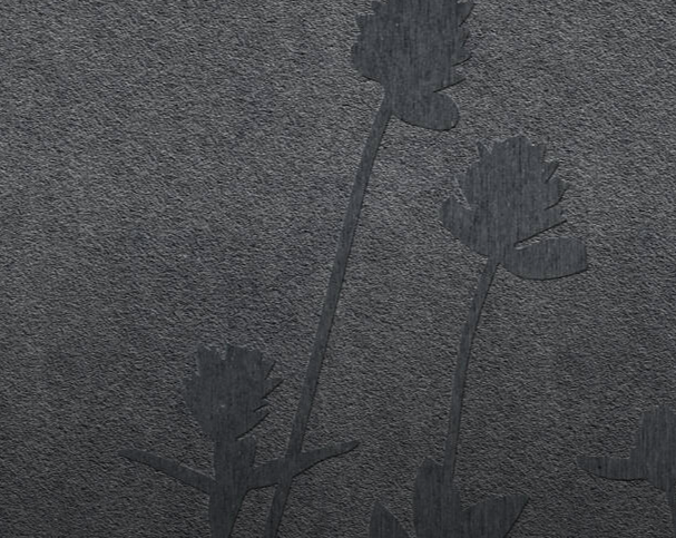 pro-5d-image-3.png